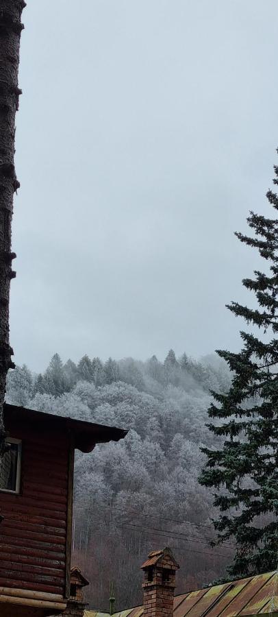 Sophie Apart Belleview Sinaia Exterior photo